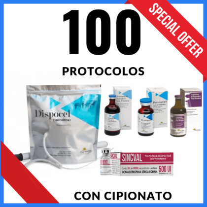 100 con