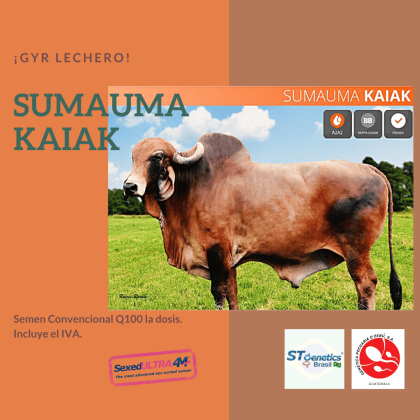 SUMAUMA KAIAK