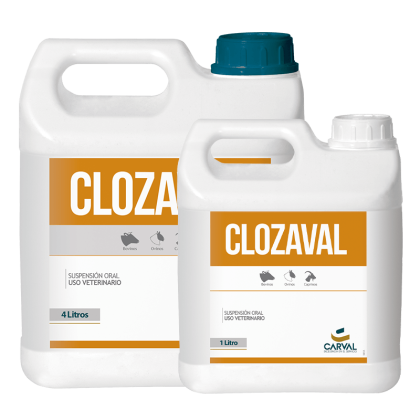 Clozaval