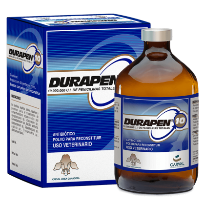 Durapen-10
