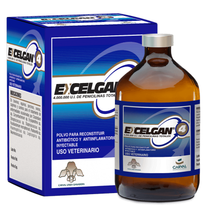 Excelgan-4
